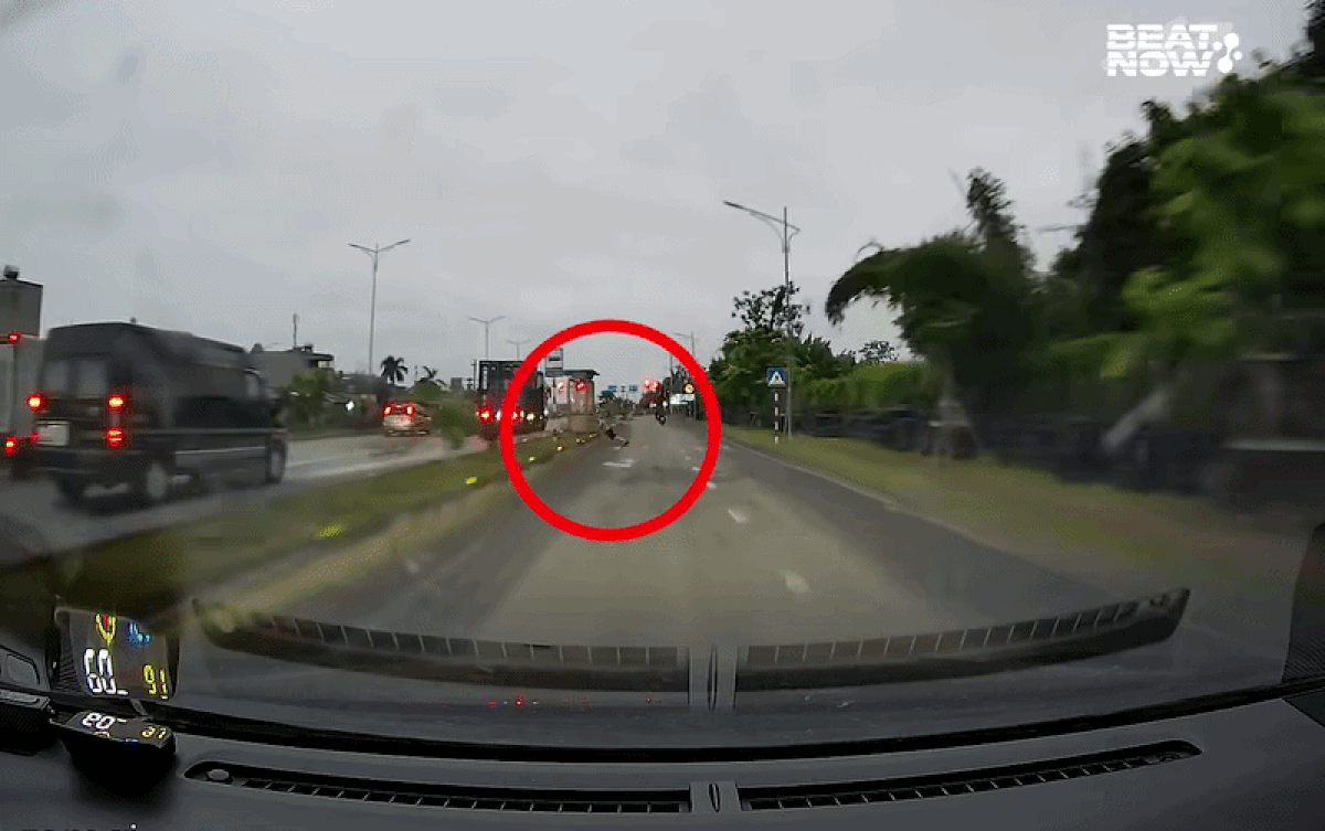 Lái xe lúc sáng sớm, tài xế gặp sự cố không ai ngờ, xem camera mà thót tim Ảnh 1