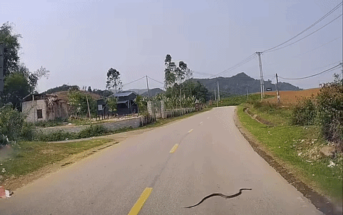 Nhóm thanh niên vội nhảy xuống ô tô vì lý do đặc biệt, xem camera nhiều người phải sợ hãi Ảnh 1