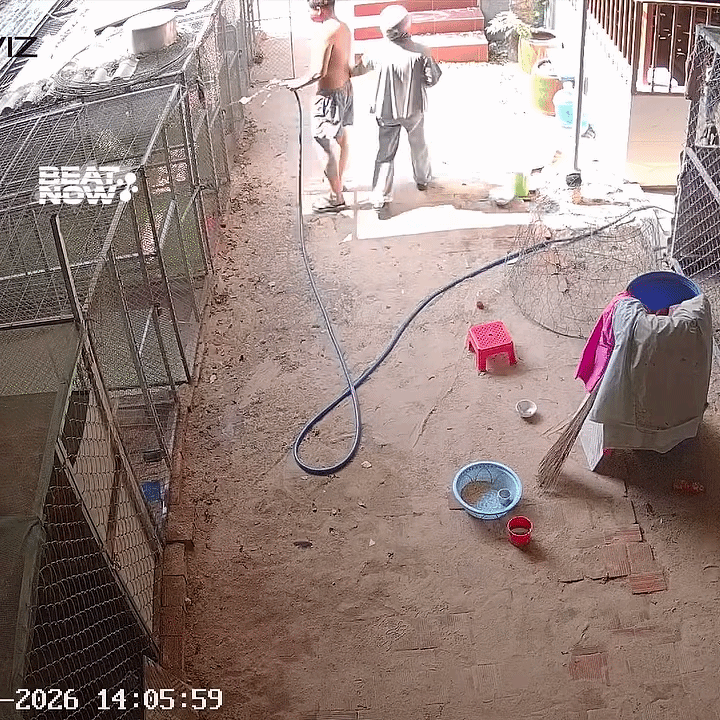 Người đàn ông giật bắn mình, hoảng loạn la hét vì người phụ nữ xuất hiện bất ngờ. Ảnh cắt từ clip