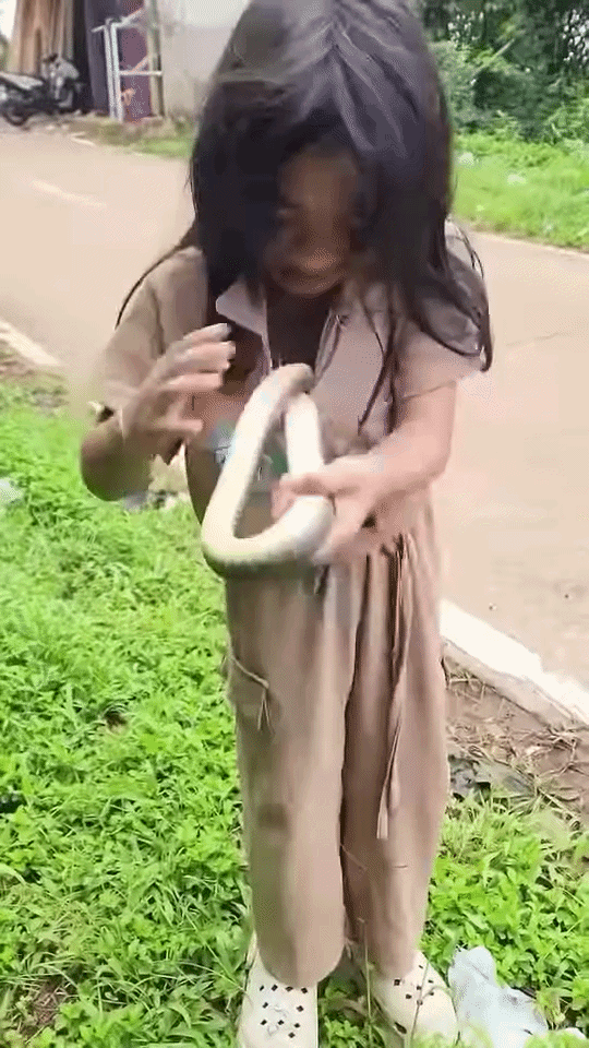 Bé gái lấy ra món quà giấu trong bụng khoe bố, dân tình vừa nhìn đã rụng rời tay chân Ảnh 1