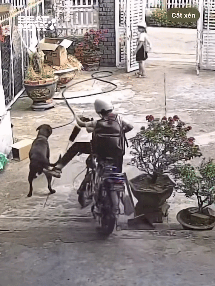 Nam sinh vừa lên xe thì liền ngã nhào, nhiều người không ngờ tới nguyên nhân Ảnh 1