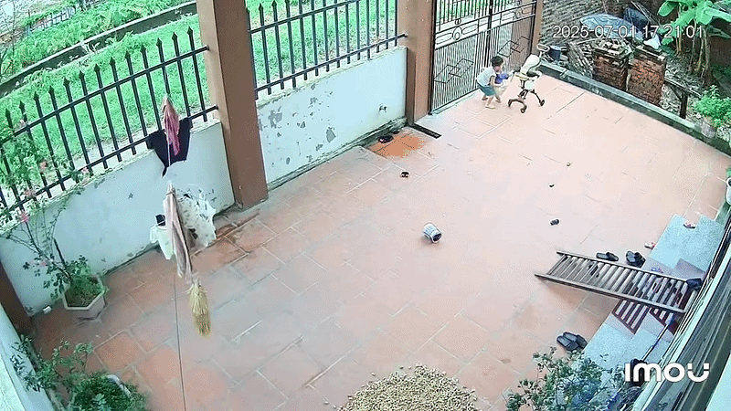 Xem lại camera lúc chiều tối, bố mẹ tự hào vô cùng về cậu anh trai nhỏ tuổi Ảnh 1