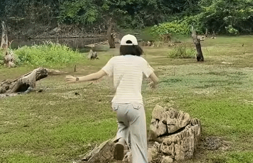 Hào hứng đi săn bướm ở rừng Cúc Phương, cô gái gặp cái kết không thể ngờ Ảnh 1