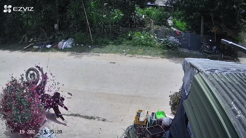 Thấy chậu cây bị ngã, chủ nhà check camera liền thấy cảnh bất ngờ Ảnh 1