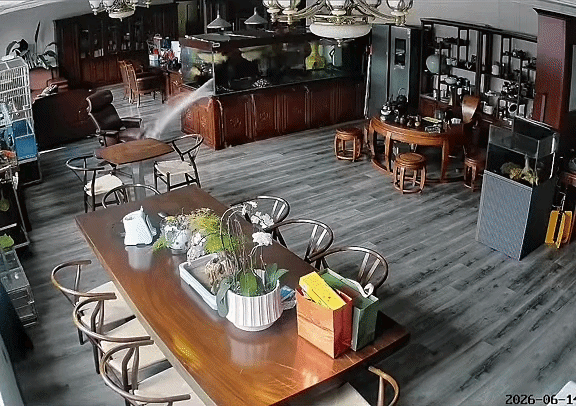 Đàn cá cảnh nằm bất động, chủ nhà xem camera liền thấy cảnh đau lòng Ảnh 1