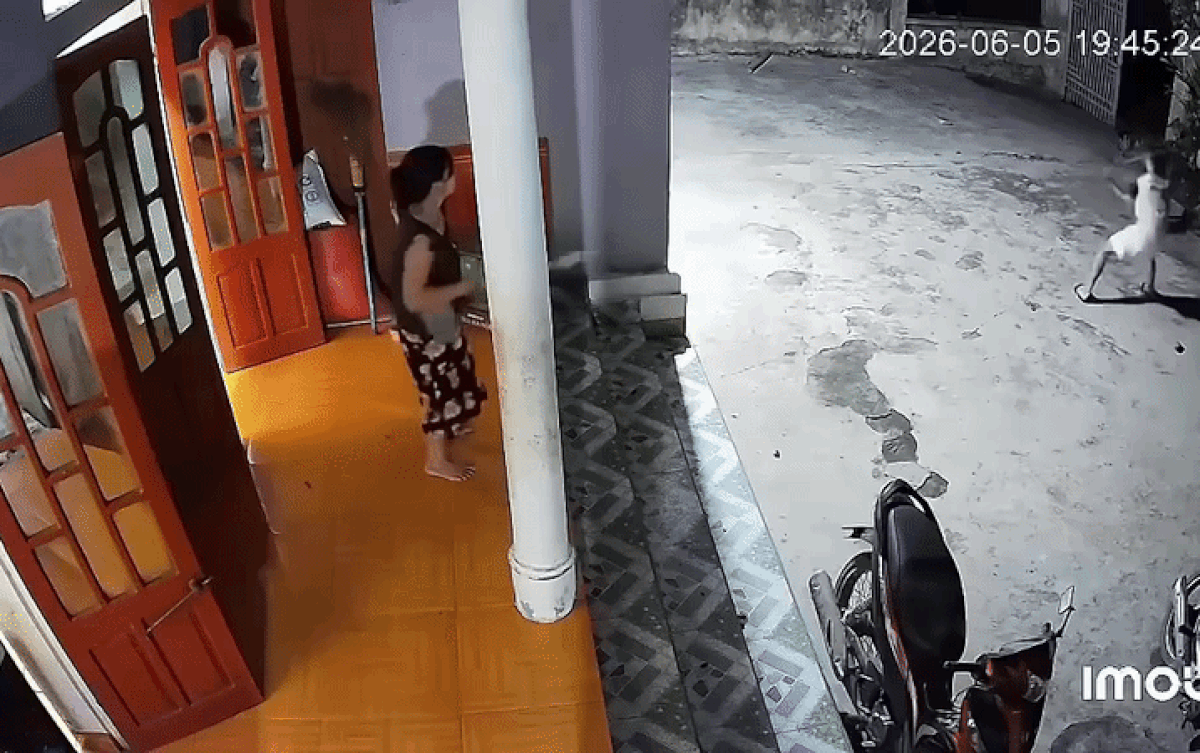 Chàng trai liên tục dùng gậy để chống trả lại màn tấn công của con chó dữ. Ảnh cắt từ clip