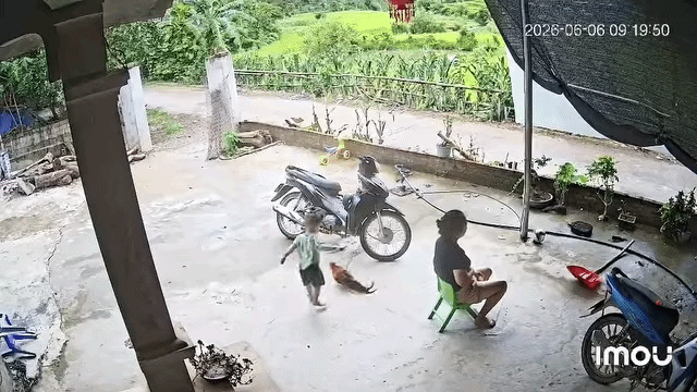 Màn nghịch ngợm của cậu bé đã khiến con gà không còn sự sống. Ảnh cắt từ clip
