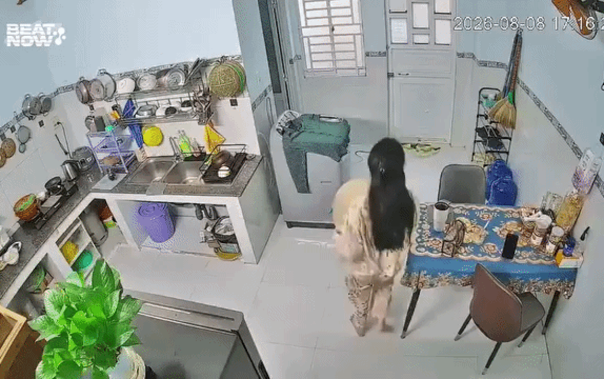 Cô gái vừa bước vào nhà bếp lập tức bỏ chạy, xem camera liền biết lý do đáng sợ phía sau Ảnh 1