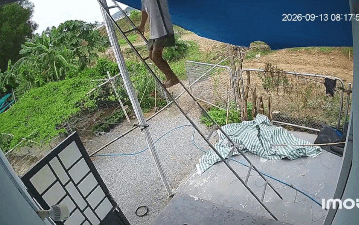 Người đàn ông bị ngã thang, dân tình xem camera liền chỉ ra loạt lỗi sai Ảnh 1