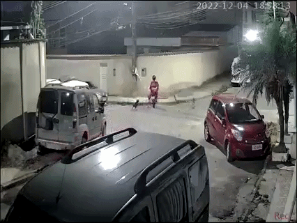 2 con chó rượt đuổi khiến nam shipper té ngã.