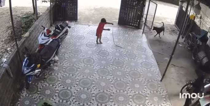 Sau khi bắt xong, cậu bé thản nhiên chơi đùa.