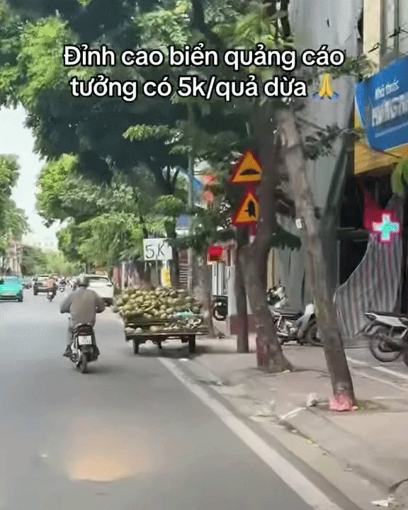 Tấm bảng quảng cáo dừa xiêm '5 nghìn đồng/quả' và sự thật đằng sau Ảnh 1