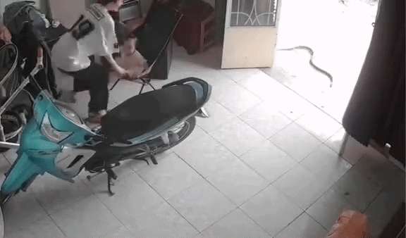 2 mẹ con đang chơi trước nhà bỗng thấy con rắn