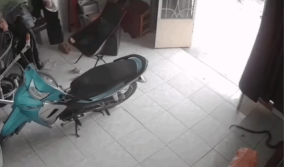 Phản ứng của người chồng khiến dân mạng cười ngất.