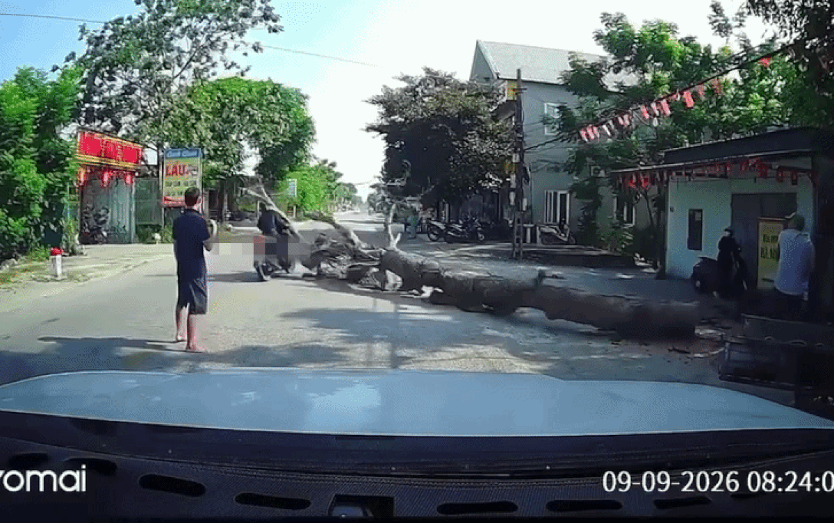 Hiện trường nơi xảy ra vụ việc. Ảnh cắt từ clip