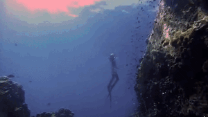 Phượt trên cạn chán chê, sao Việt chuyển sang mê thám hiểm biển