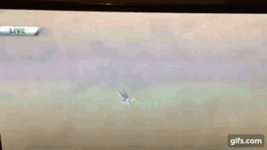 Cú nhảy vượt mọi giới hạn: Thả người rơi tự do từ độ cao không tưởng