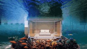 Ở Dubai, người ta có thể nhìn ngắm đại dương ngay tại phòng ngủ