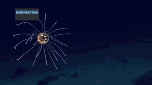 Không ngờ ở độ sâu 3000 mét, vẫn có những loài sinh vật tuyệt đẹp như vậy!