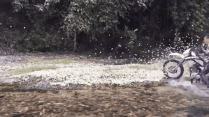 Lời trần tình của nam phượt thủ bị cộng đồng mạng chỉ trích vì phi môtô giày xéo hàng nghìn con bướm