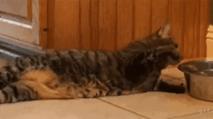 Những biểu hiện chứng minh bạn là sâu lười mùa hè