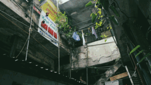 Những tiệm sách nhỏ ẩn sâu trong căn gác phố Đinh Lễ mà không phải 'mọt sách' nào cũng biết