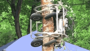 Chứng kiến robot tỉa cành tự leo cây bằng bánh xe, lưỡi cưa cắt gọn không tì vết