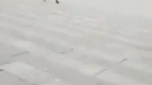 CLIP khó tin: Cuồng phong thổi bay người 'lăn lông lốc' trên đường