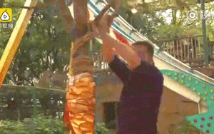 Rung ‘cây tiền’ thật lực để lấy lì xì 3.500 đồng