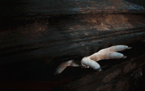 Thực hư chuyện tóc và móng tay người dài ra sau khi chết