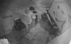 Dân mạng bức xúc trước clip trộm chó mất nhân tính của 2 'cẩu tặc'