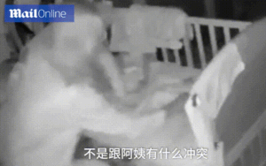 Phẫn nộ: Bé 8 tháng tuổi bị bảo mẫu lôi xồng xộc từ trong cũi ra ngoài