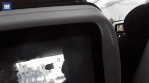 Hành khách khốn khổ vì chim 'làm loạn' nhiều giờ trên máy bay