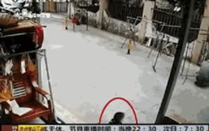 Bị xe cán qua người, cậu bé 1 tuổi thoát chết thần kỳ