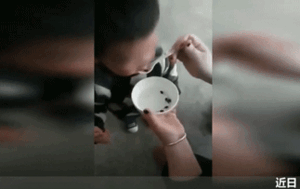 Trung Quốc xôn xao vụ mẹ cho con ăn nòng nọc sống để khỏe hơn