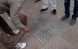 Màn bắt rắn trốn trong xe máy bằng tay trần ở Việt Nam khiến báo Tây kinh ngạc