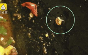 Kinh hoàng phát hiện sâu bò lúc nhúc trong đĩa thức ăn