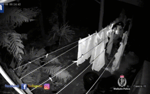 Gã biến thái nửa đêm lẻn vào vườn trộm duy nhất bộ đồ lót