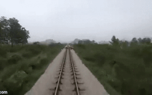 Clip ghi lại cảnh tàu hỏa tông chết đàn trâu lững thững đi qua đường ray gây bức xúc