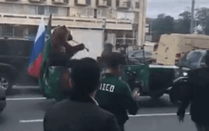 Để gấu thổi kèn vuvuzela, diễu hành trên phố mừng chiến thắng World Cup gây tranh cãi