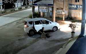 Clip 2 thanh niên đi ô tô 7 chỗ màu trắng dùng súng điện bắt trộm chó chỉ trong vòng 1 nốt nhạc khiến dân mạng choáng váng