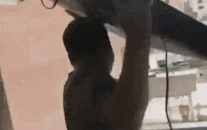 Argentina thua Pháp, CĐV ném thẳng TV từ tầng 2 xuống nát bét