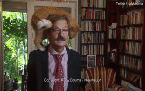 Mèo trèo lên cả đầu chủ nhân, 'phá đám' buổi phỏng vấn trực tiếp