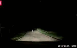 Tài xế 'thót tim' phanh gấp khi thấy một em bé đứng bơ vơ giữa đường trong đêm tối