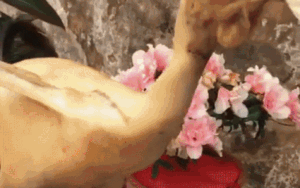 Đỉnh cao bày gà cúng: Cô nàng tạo dáng mâm xôi gà khiến hội chị em nườm nượp 'xách dép theo học'