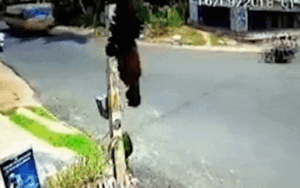 Xe máy bị nghiền nát dưới gầm xe buýt, 3 người đàn ông say xỉn văng xa vài mét