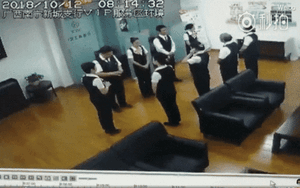 Trăn dài 2 m từ trần nhà bất ngờ rơi xuống, nhân viên bỏ chạy tán loạn