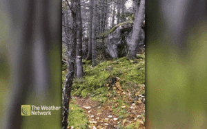 Thực hư mặt đất 'hít vào, thở ra' gây xôn xao