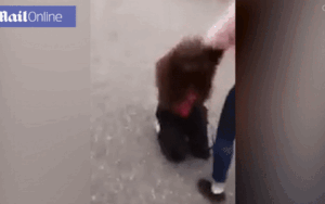 Cô gái bị đánh hội đồng suốt 3 tiếng tới nỗi mất khả năng sinh sản