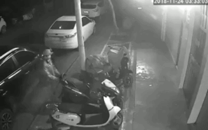 Rình trộm xe 3h sáng, thanh niên khiến người xem há hốc miệng bằng tuyệt chiêu 'vác thần chưởng'